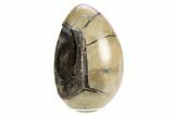Septarian Dragon Egg Geode - Black Crystals #253754-2